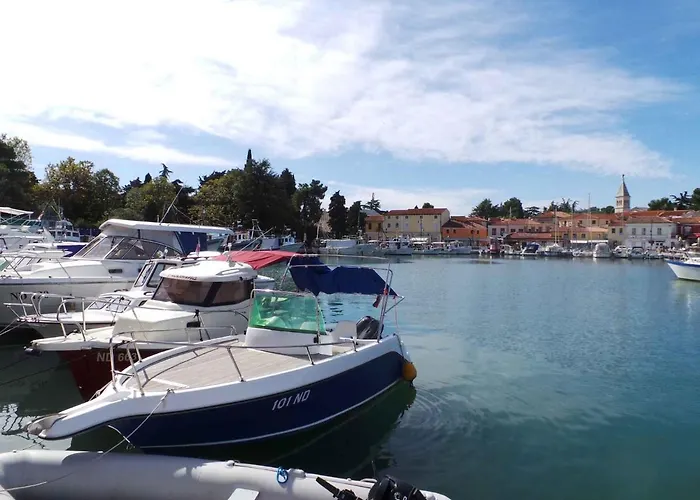 In - Insel Krk 13594 * Vrbnik (Primorje-Gorski Kotar)